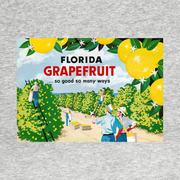 Florida Grapefruit 1930s Vintage Advertising Poster by vintagetreasure